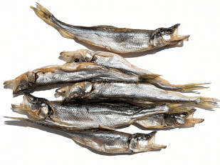 Гренки: Корюшка (мелкая) вяленая (Камчатка)